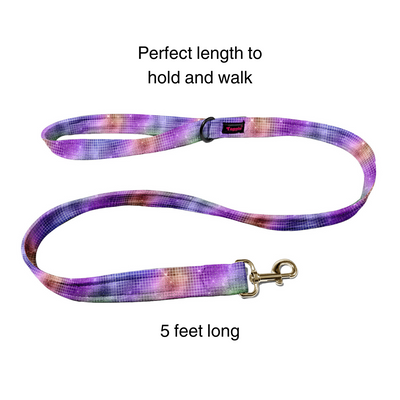 Dancefloor Diva Collar -Leash