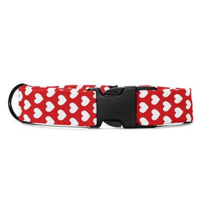 Love & Loyalty - Collar & Tag