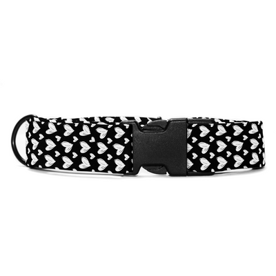 Sketchy Sweetheart - Collar & Tag