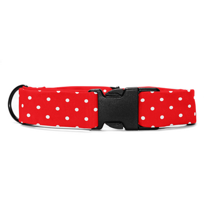 Red & Radiant - Collar & Tag