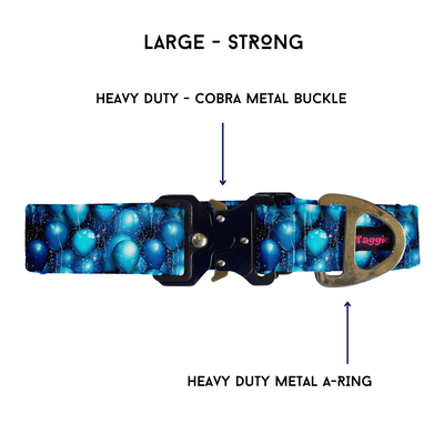 Countdown Confetti - Collar & Tag