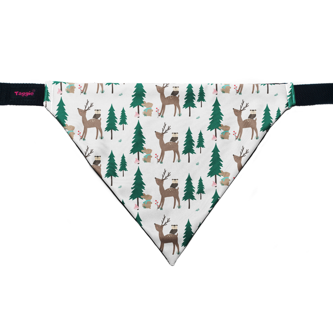 Winter Delight - Bandana