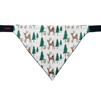 Winter Delight - Bandana