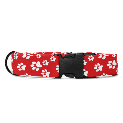 Fido's Favourite - Collar & Tag