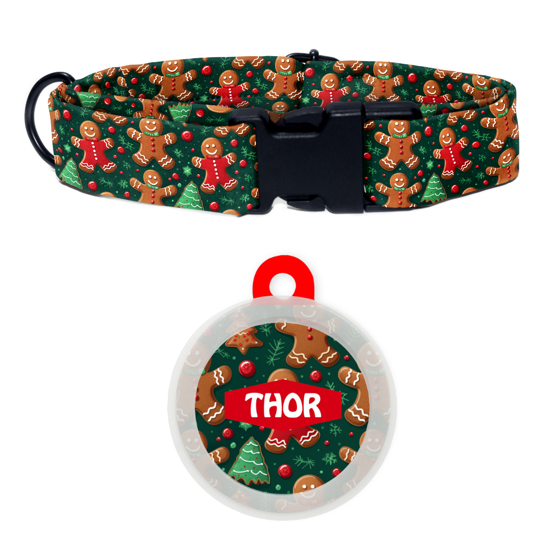 Brownie Snowman - Collar & Tag