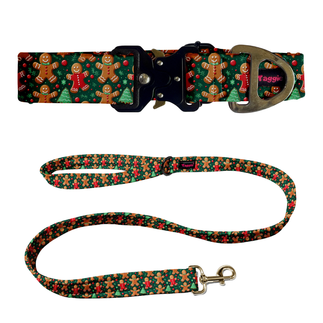 Brownie Snowman Collar-Leash