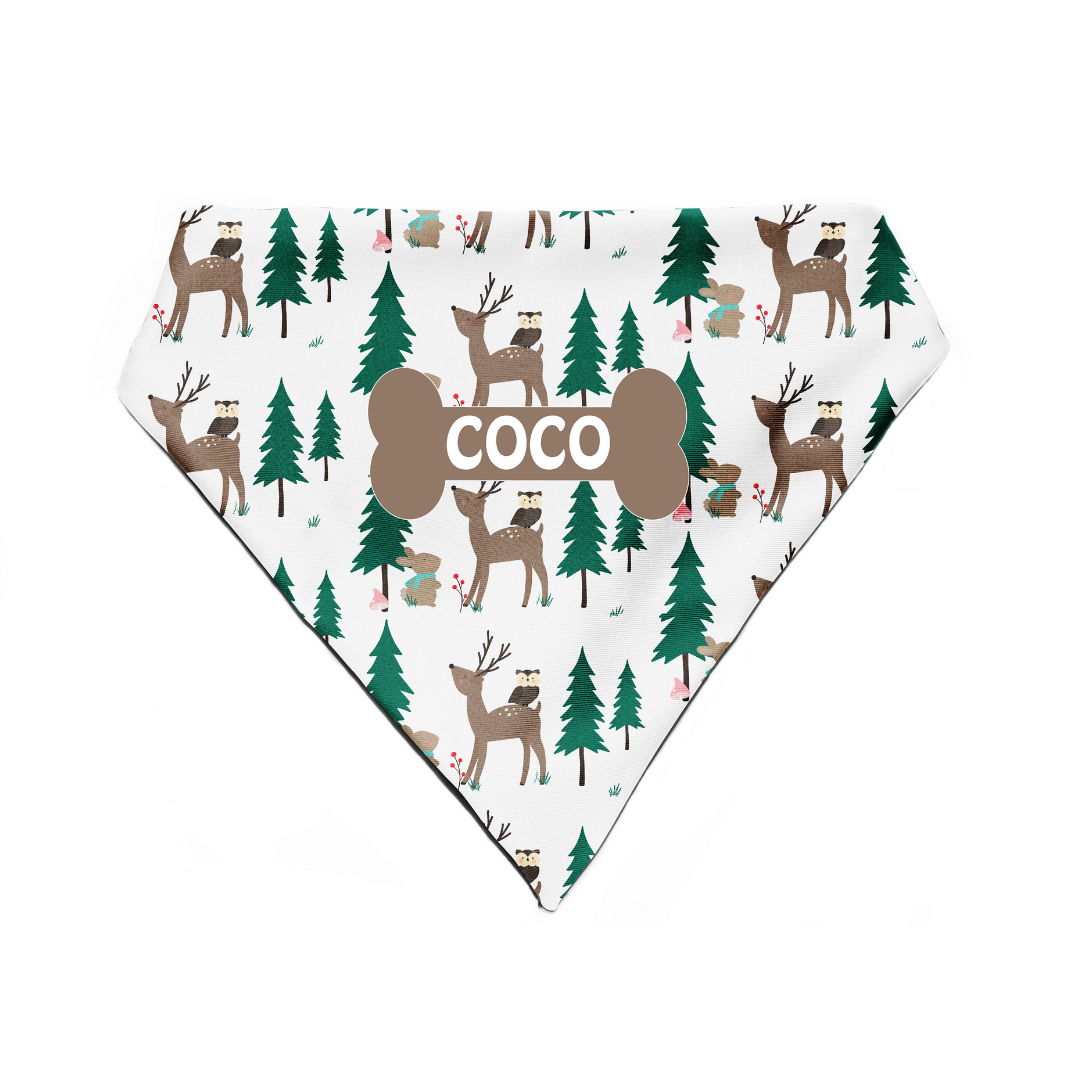 Winter Delight - Bandana