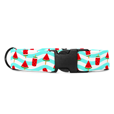 Slice of Summer - Collar & Tag