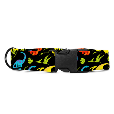 Prehistoric Pals - Collar & Tag