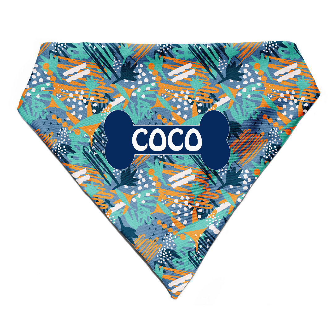 Free Spirit - Bandana