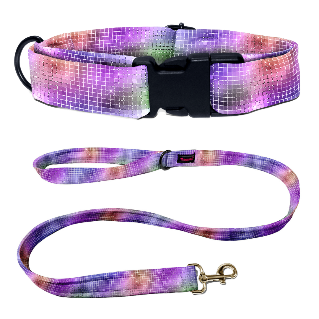 Dancefloor Diva Collar -Leash