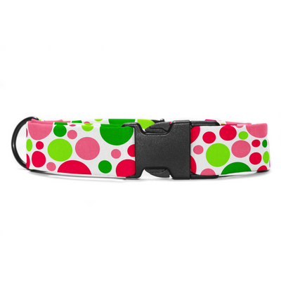 Bubble Bash - Collar & Tag