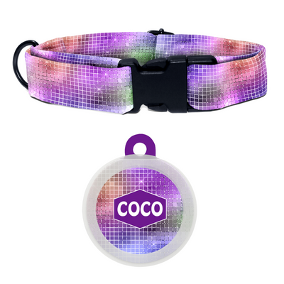 Dancefloor Diva - Collar & Tag