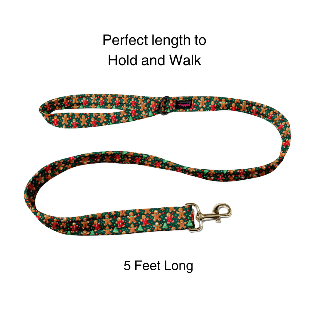Brownie Snowman Collar-Leash