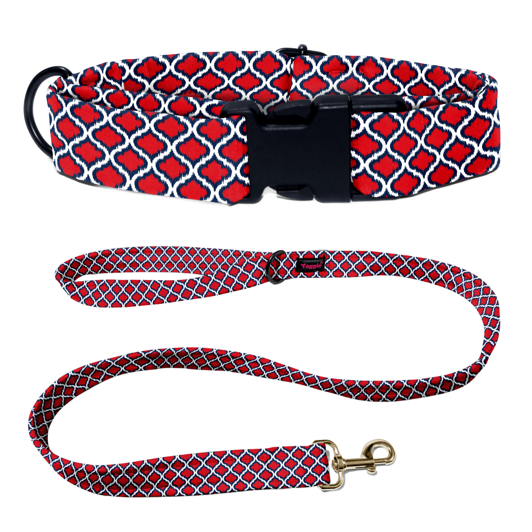 Jodhpur Jewel Collar-Leash