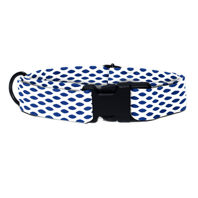 Ikkat Impressions - Collar & Tag