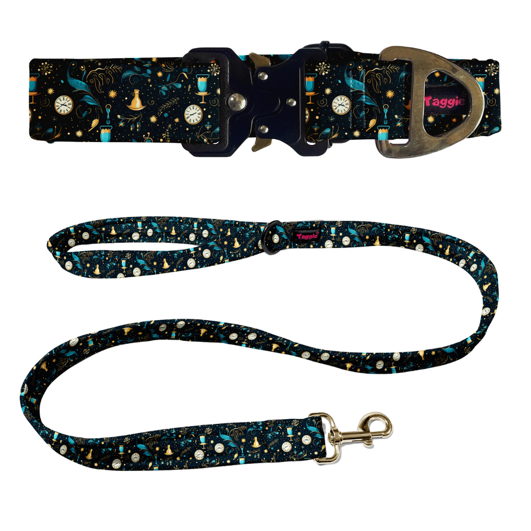 Countdown Confetti Collar -Leash