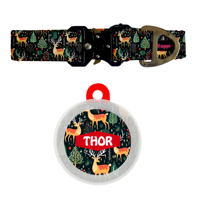 Reindeer Ready - Collar & Tag