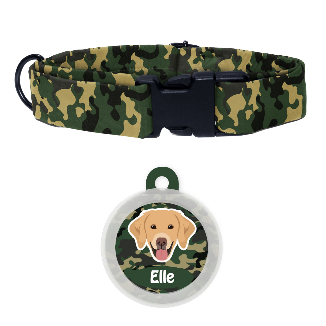 Golden Retriever - Collar & Tag