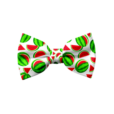 Melon Mingle - Bow
