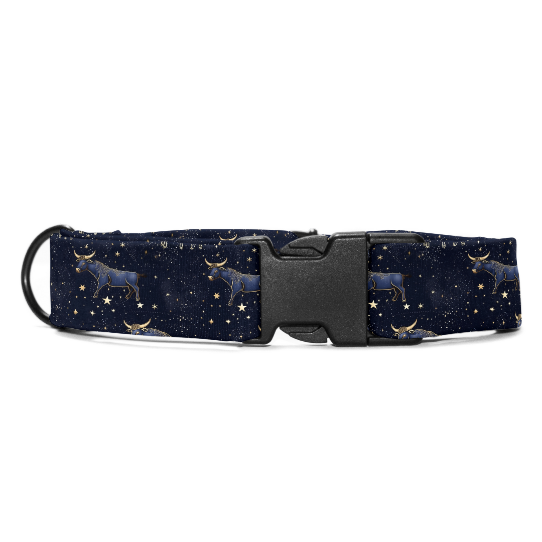 Taurus Collar -Leash