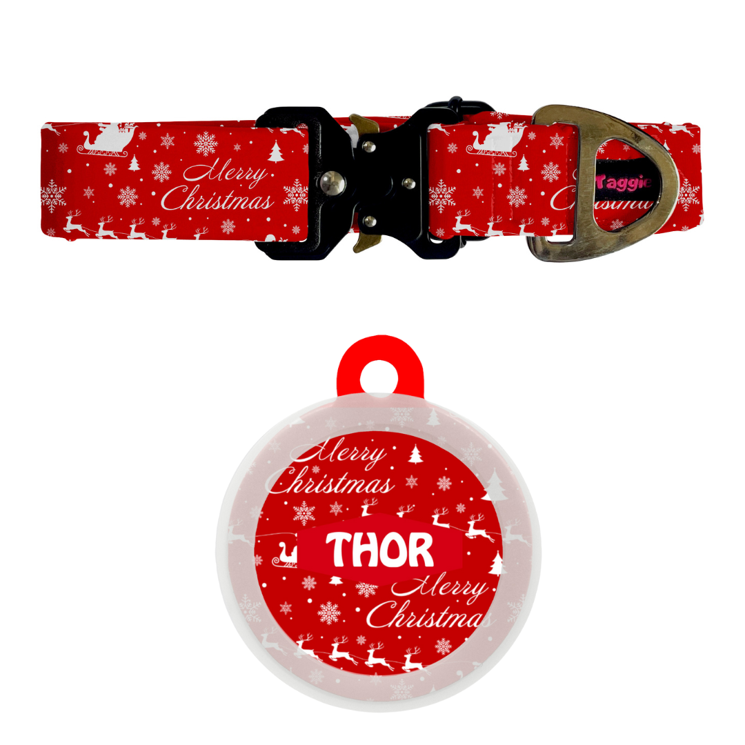 Merry Christmas - Collar & Tag