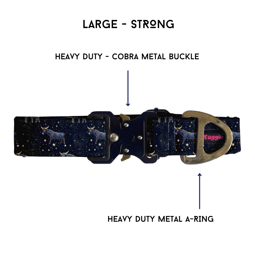 Taurus - Collar & Tag
