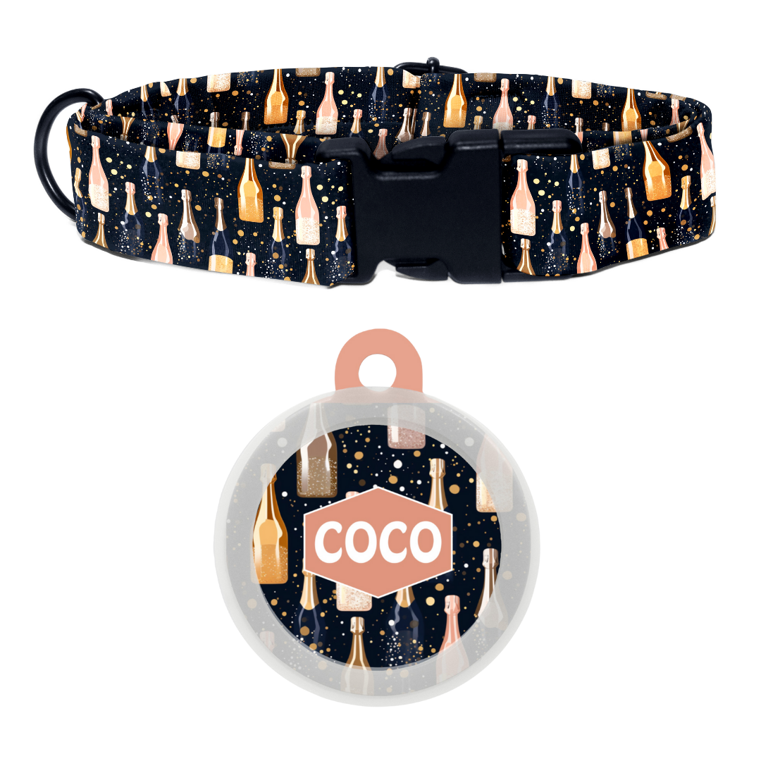 Fizz & Fun - Collar & Tag