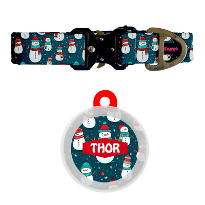 Frosty Friend - Collar & Tag