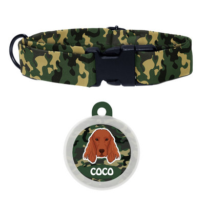 Irish Setter - Collar & Tag