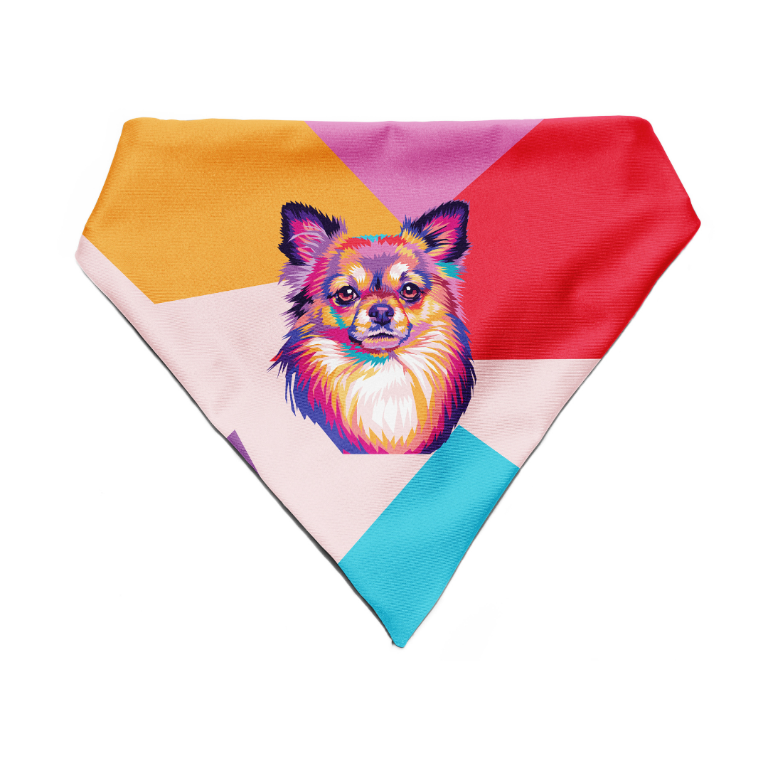 Chihuahua - Bandana