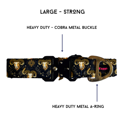 Aries - Collar & Tag