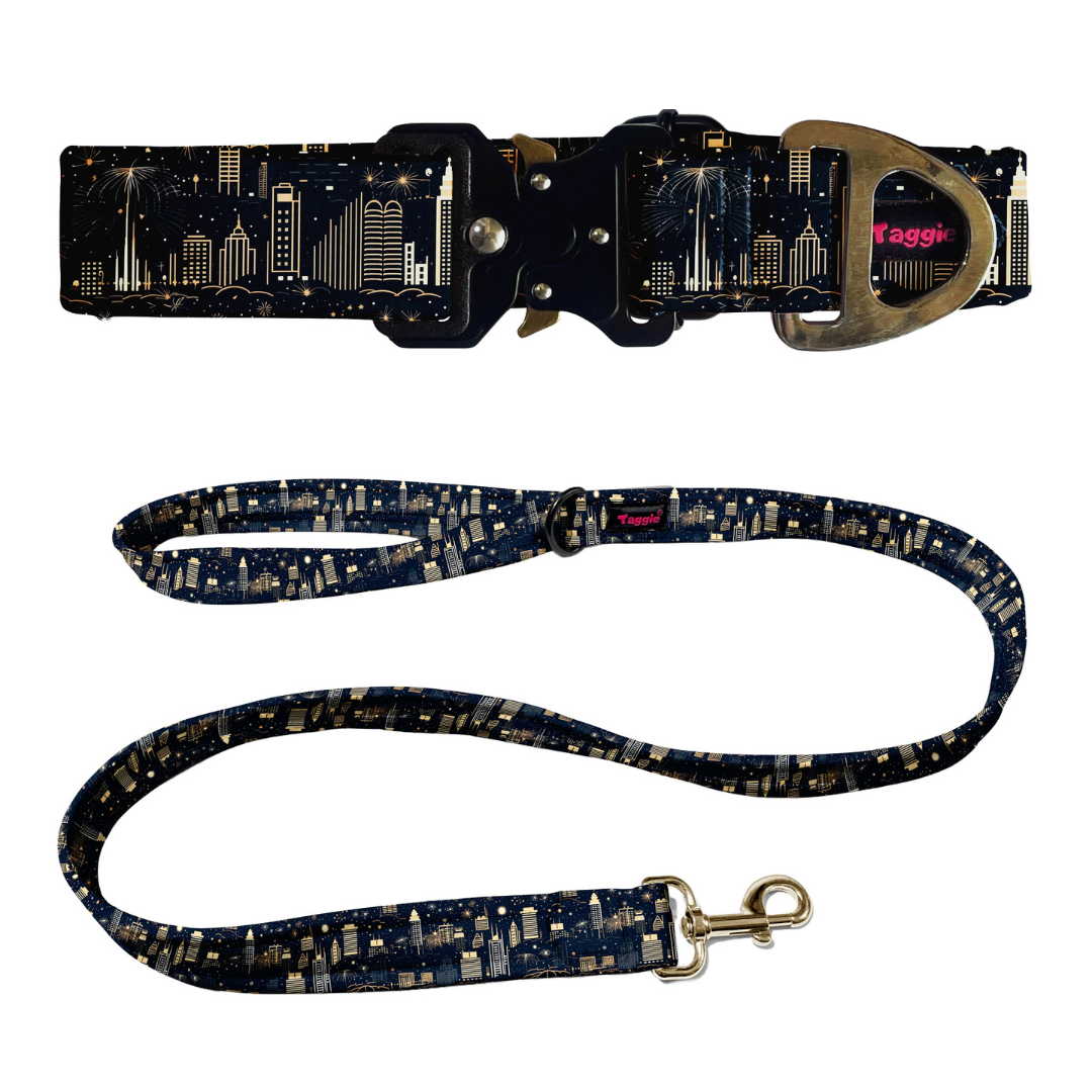 Midnight Sparkle Collar -Leash