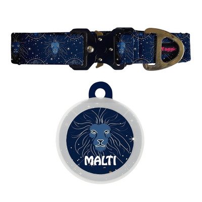 Leo - Collar & Tag