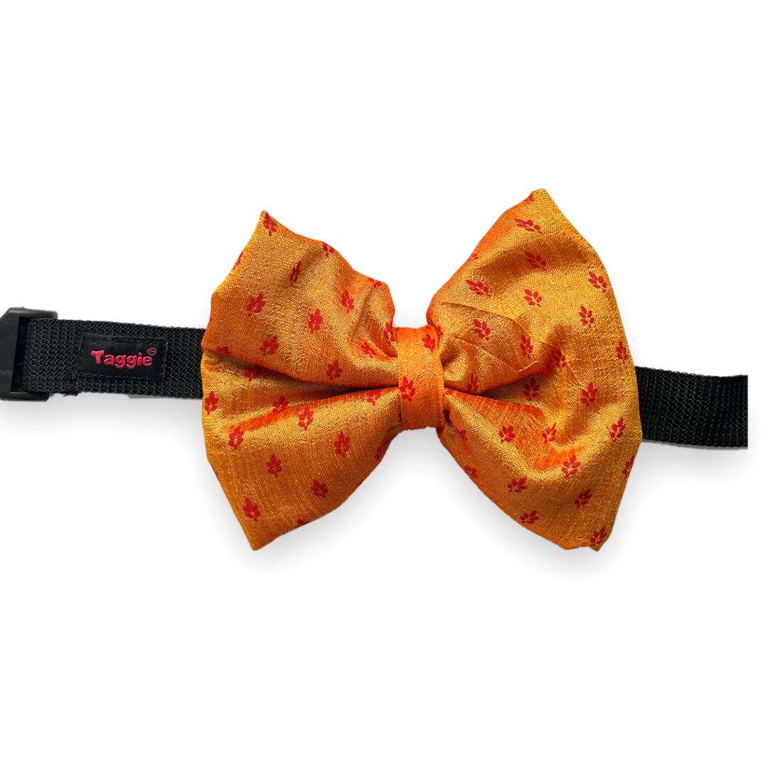 Indian Elegance - Bow