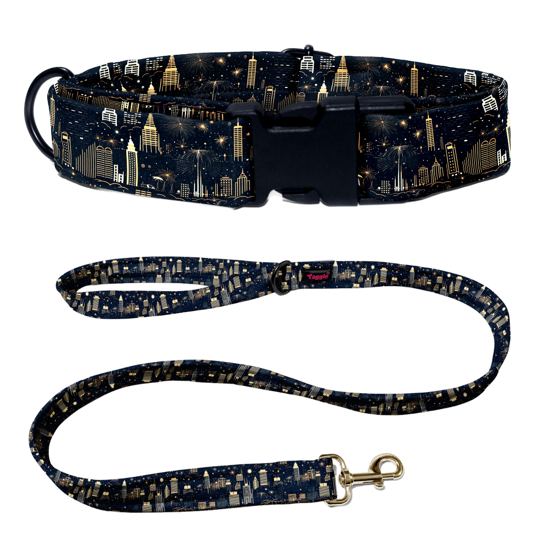 Midnight Sparkle Collar -Leash