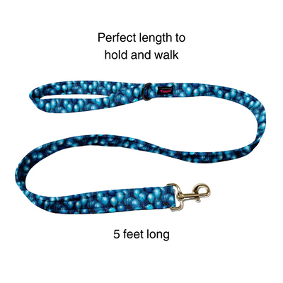 Indigo Balloon Bash Collar -Leash