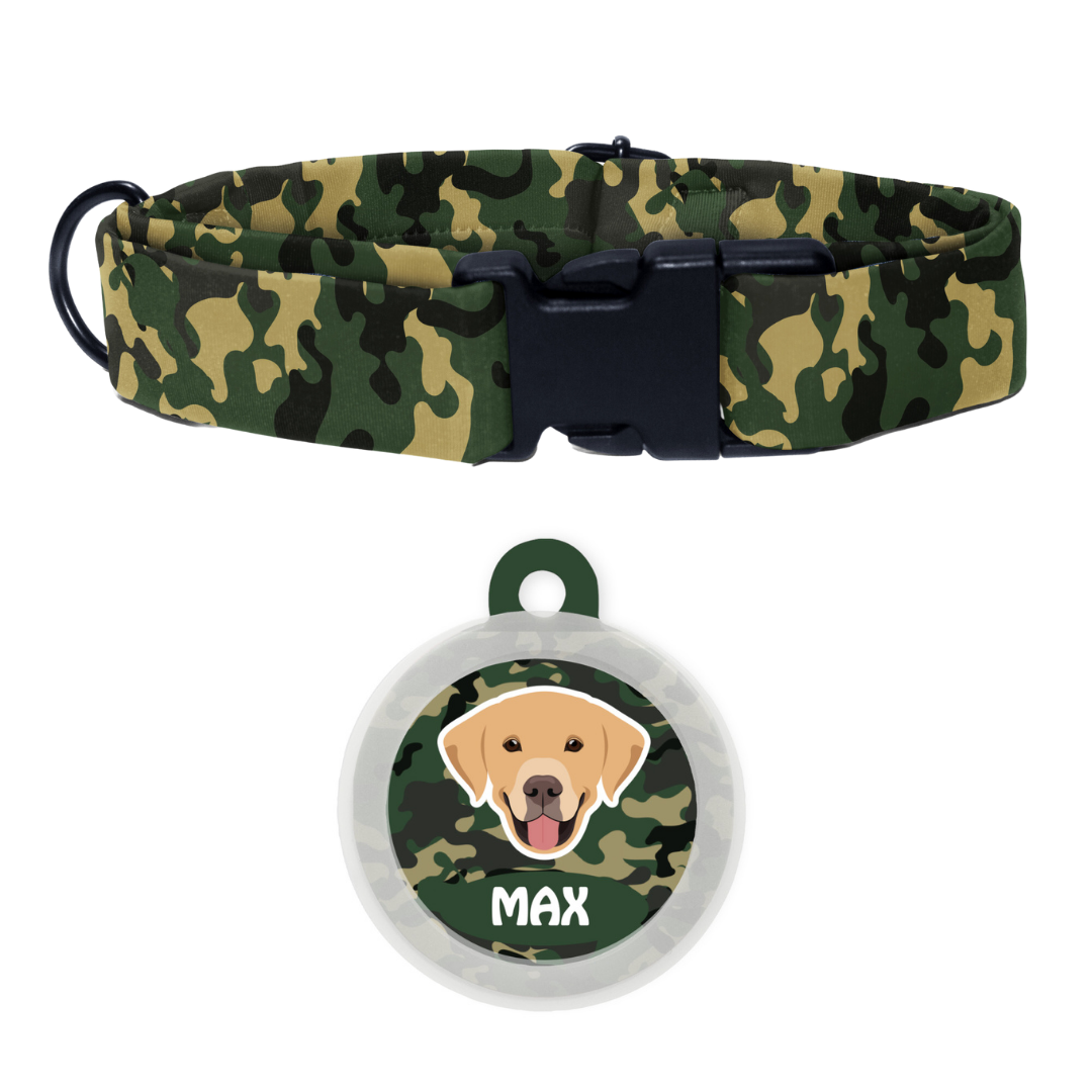 Labrador (White/Brown)  - Collar & Tag