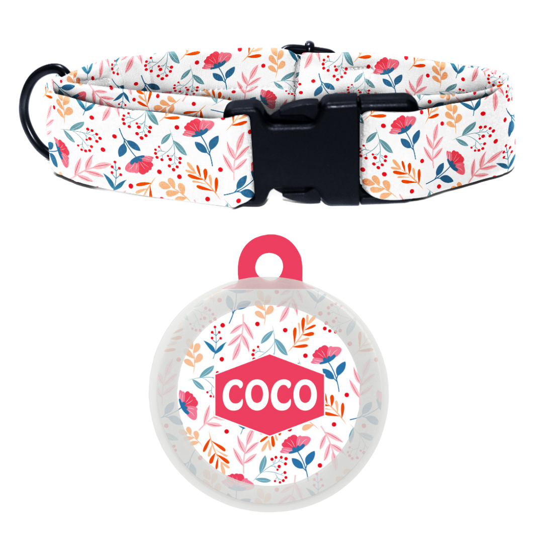 Gardenia - Collar & Tag