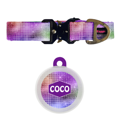 Dancefloor Diva - Collar & Tag