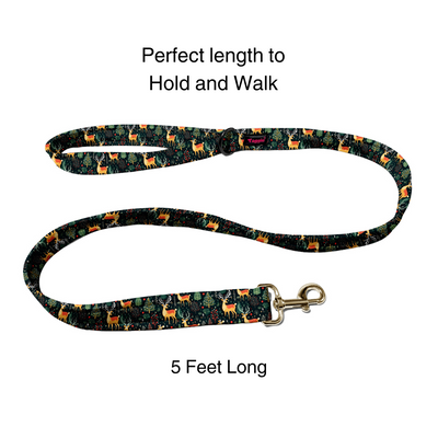 Reindeer Ready Collar-Leash