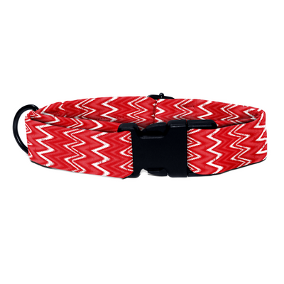 Rosewood Regal - Collar & Tag