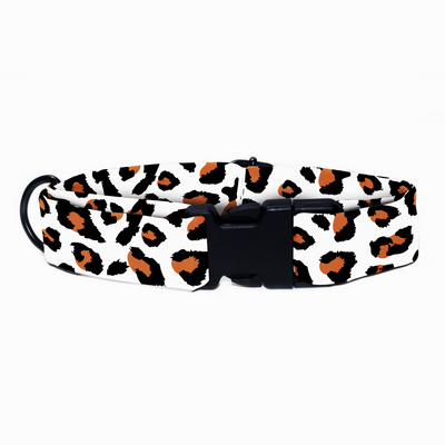 Leopard Luxe - Collar & Tag