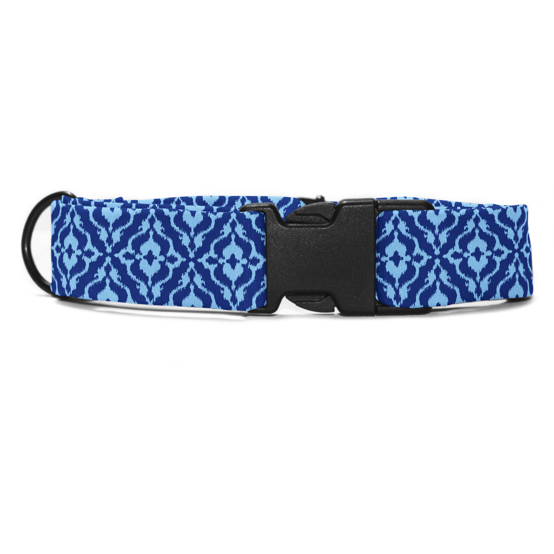 Indigo Charm - Collar & Tag