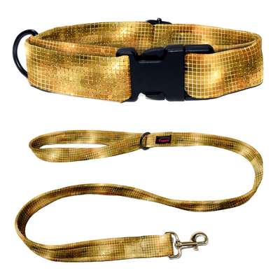 Stardust  Collar-Leash