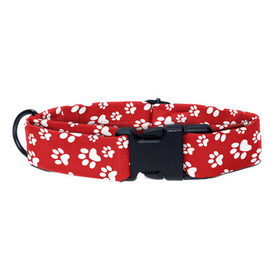 Fido's Favourite - Collar & Tag