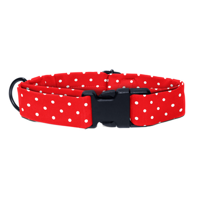 Red & Radiant - Collar & Tag