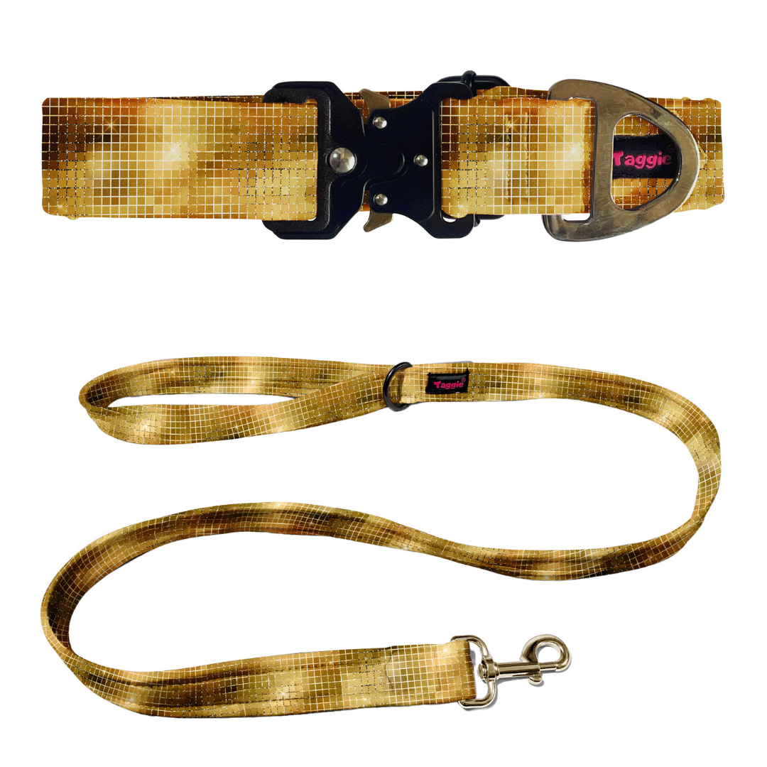 Stardust  Collar-Leash