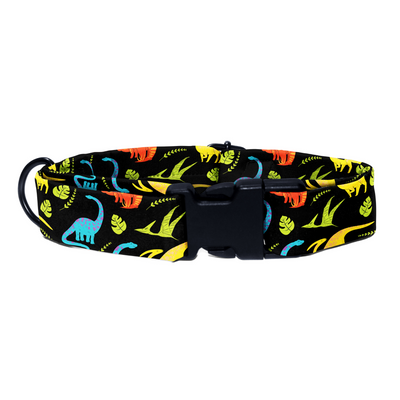 Prehistoric Pals - Collar & Tag