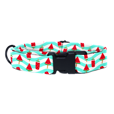 Slice of Summer - Collar & Tag